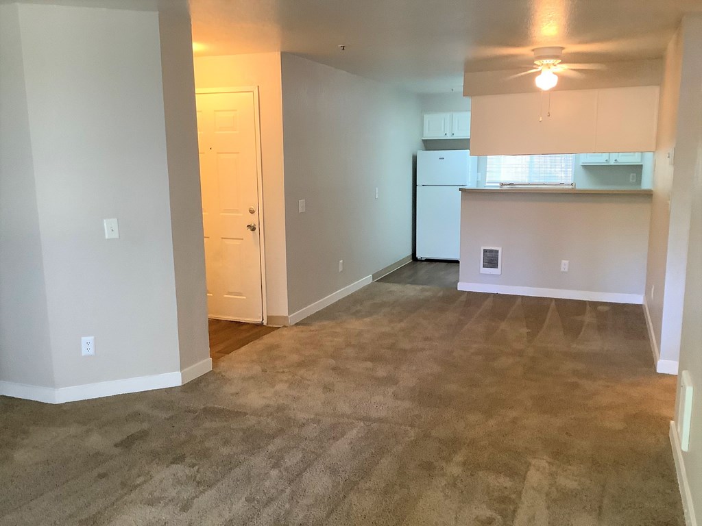 A room with a carpeted floor and a ceiling fan.