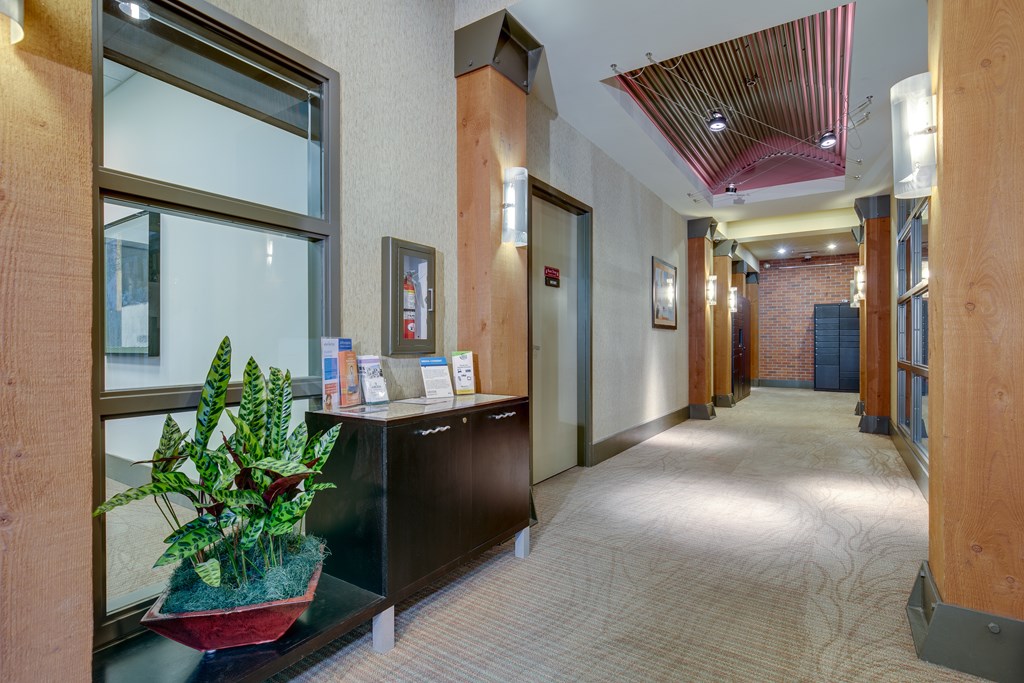 A hallway with a plant on a counter and a red wall.