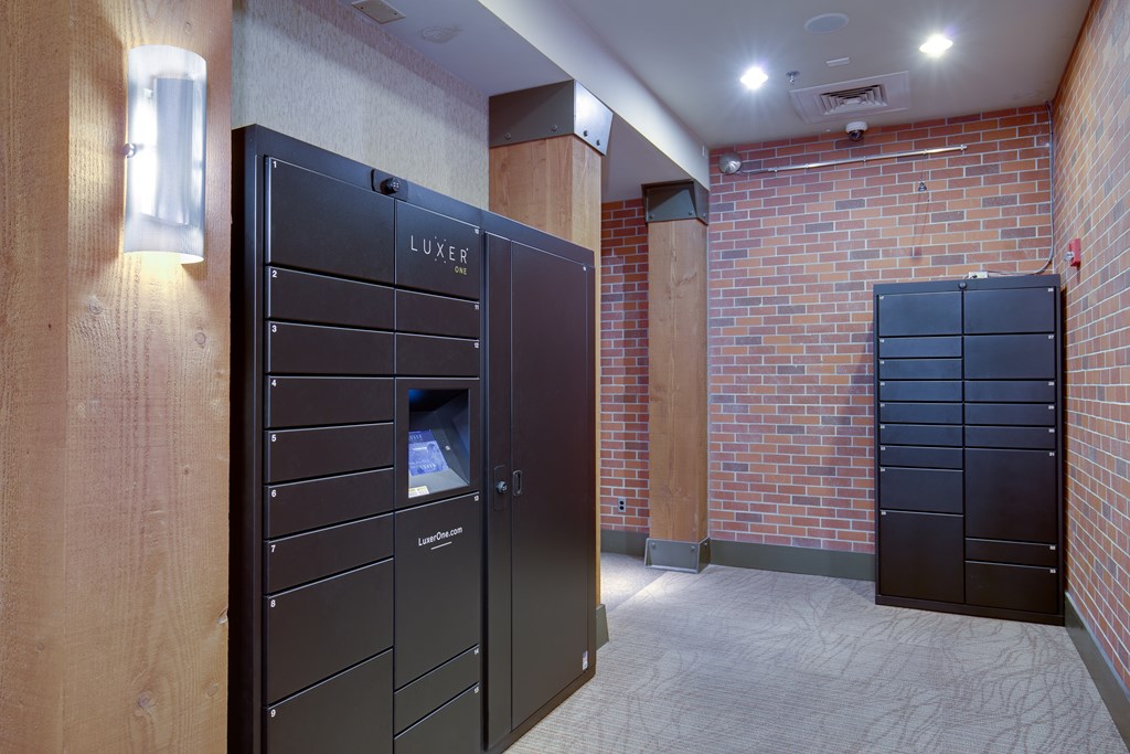 A room with two black LUXEO storage units.