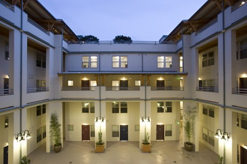 A courtyard with a lot of lights and plants.