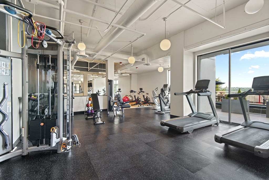 A gym with treadmills, weights, and exercise equipment.