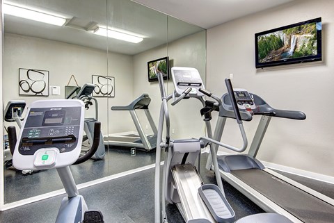 A gym with treadmills and elliptical machines.