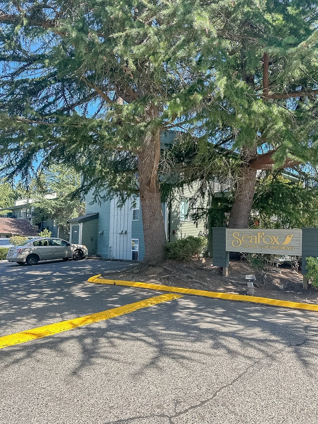 A tree stands in front of a SeaFox sign.