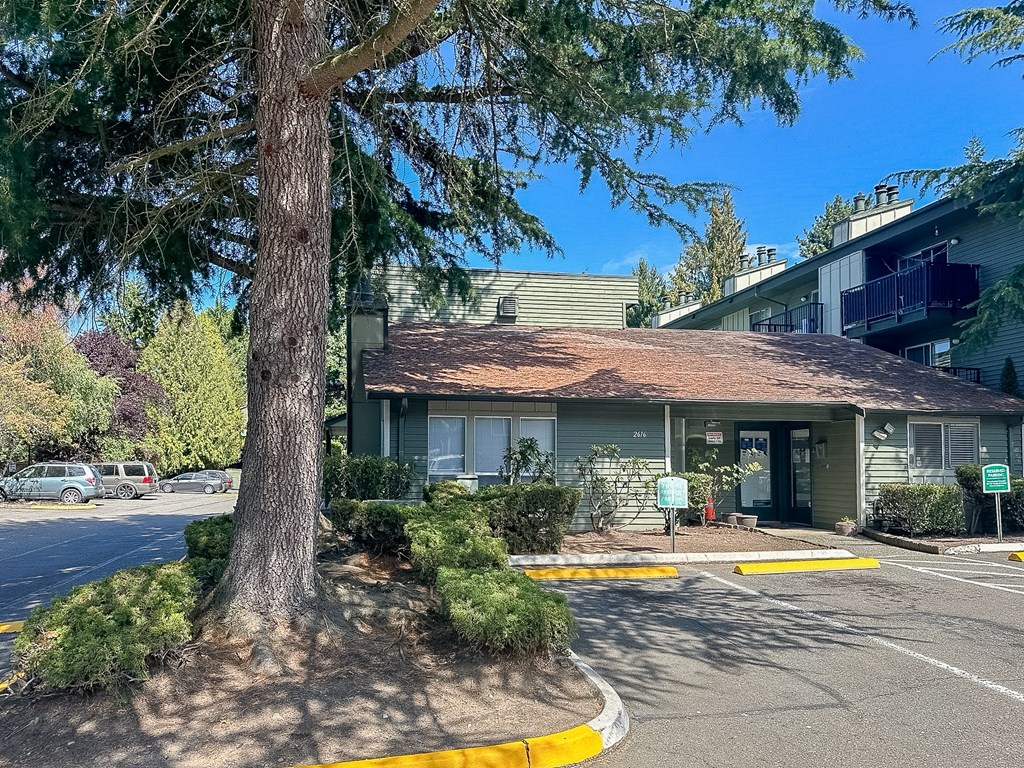 A tree stands in front of a building with a parking lot in front of it.