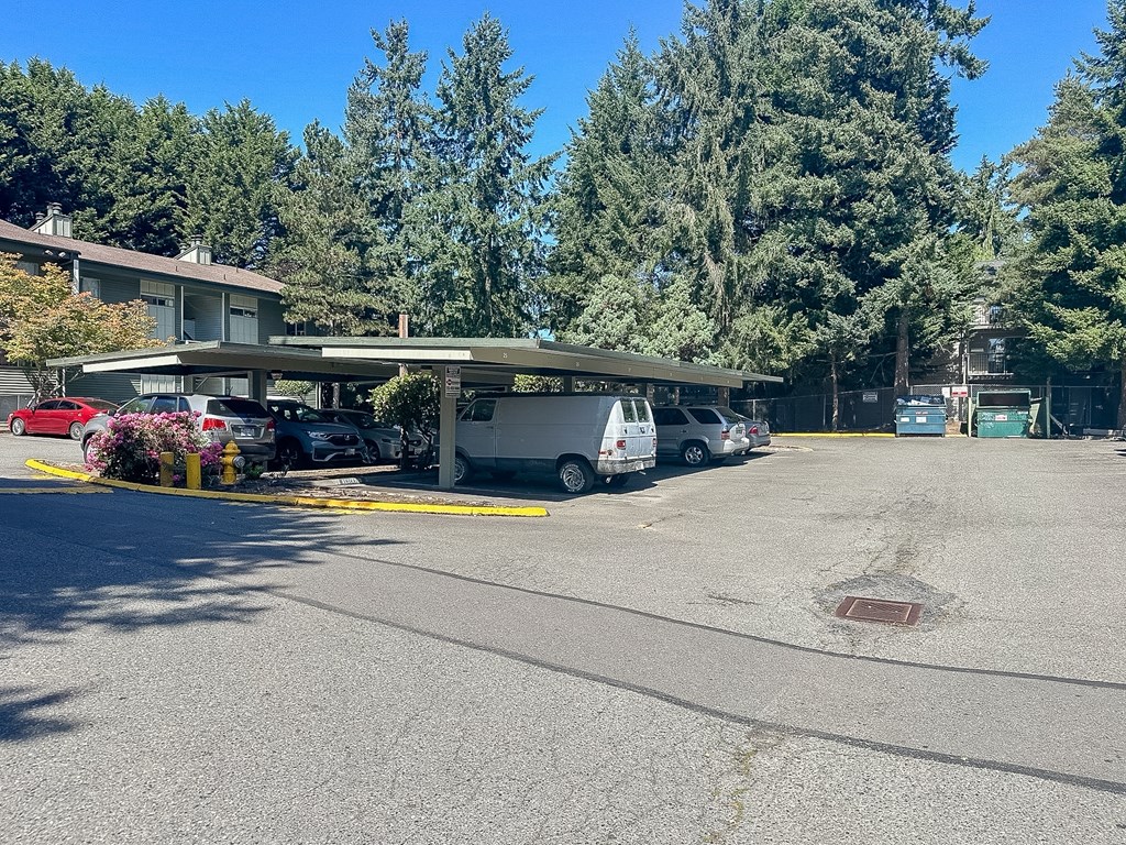 A parking lot with a building and trees in the background.