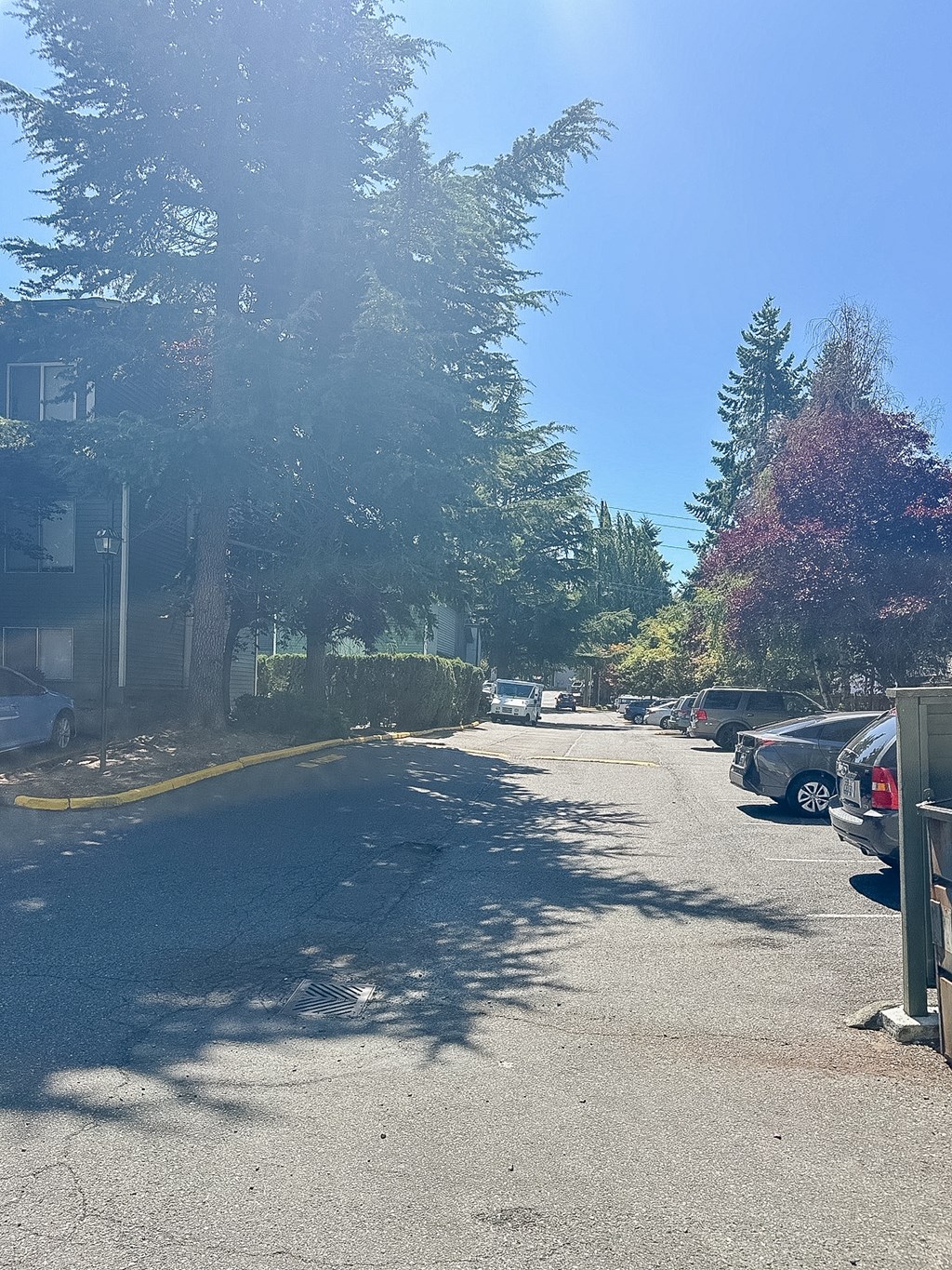A sunny day on a tree-lined street with cars parked on the side.
