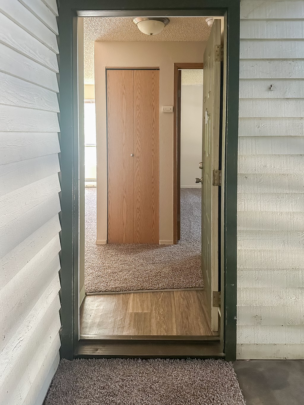 A hallway with a wooden door and a carpeted floor.