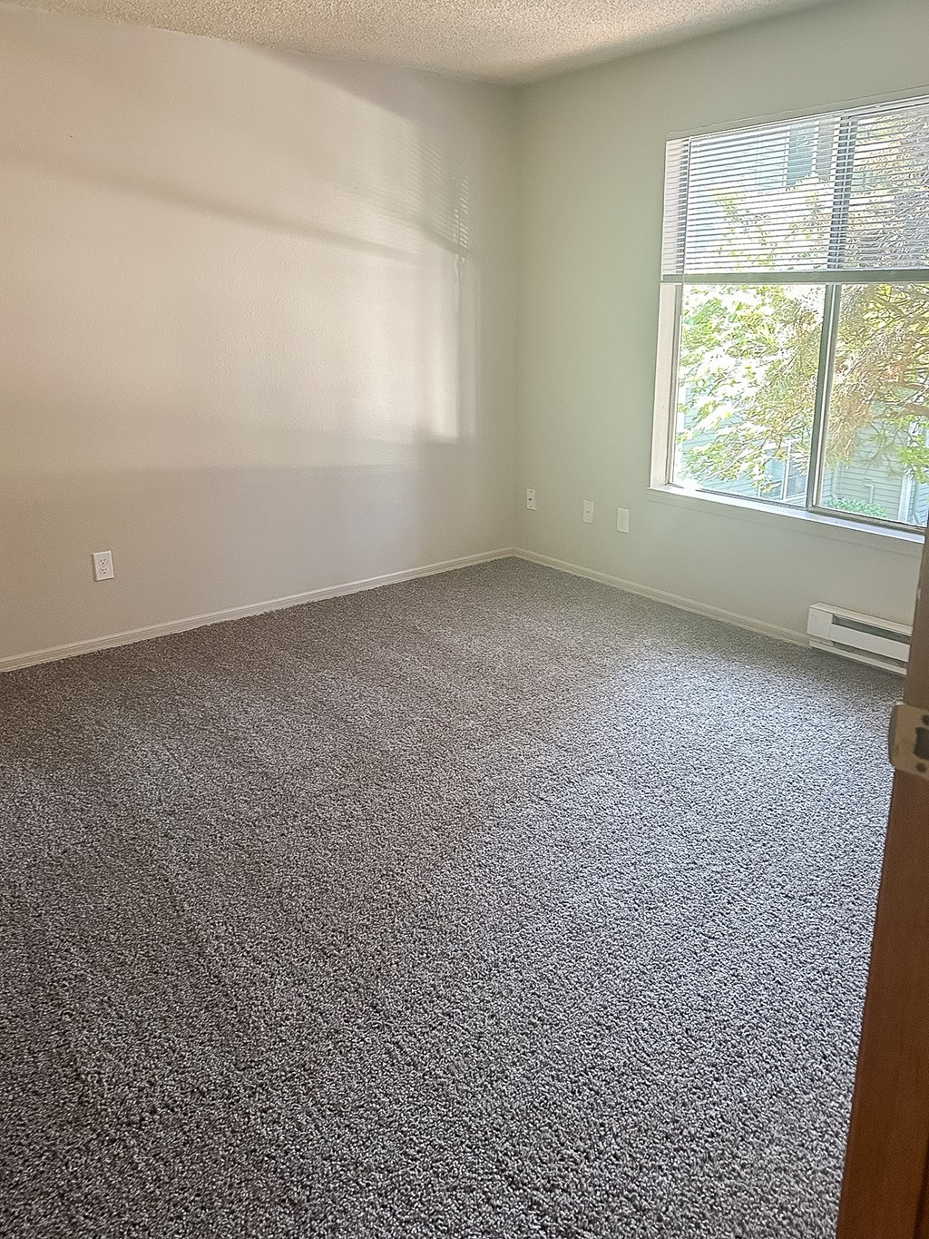 A room with a carpeted floor and a window.
