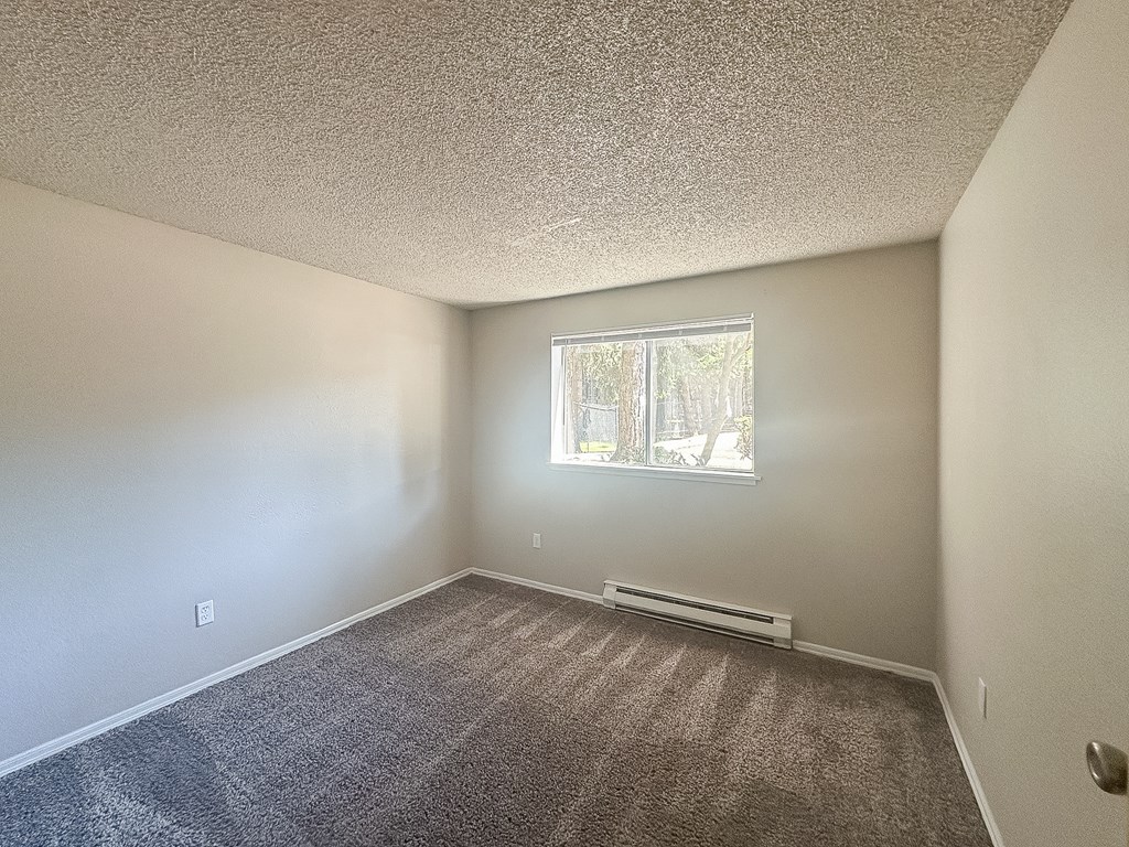 A room with a carpeted floor and a window.