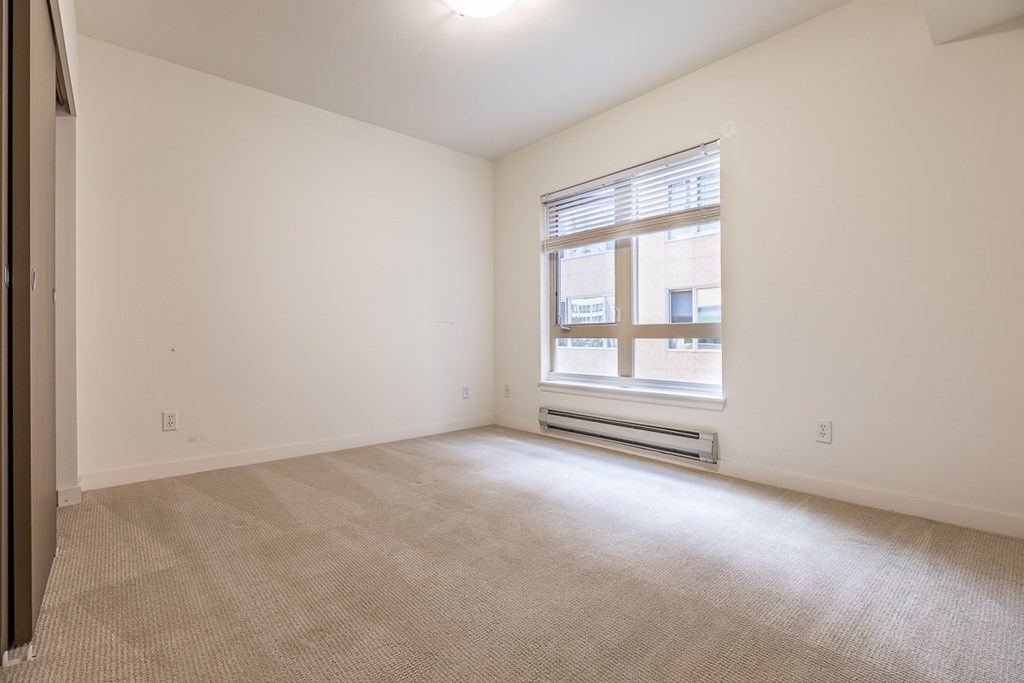 A room with a window and a carpeted floor.