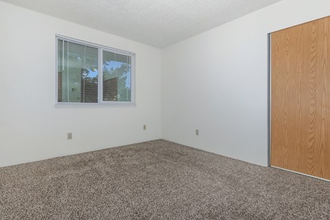 A room with a carpeted floor, a window with blinds, and a wooden door.