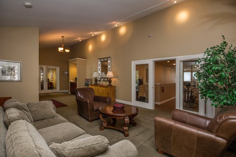 A living room with a brown leather couch and a grey couch.