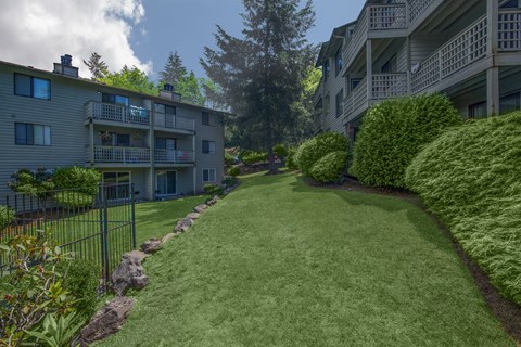 A grassy area in front of apartment buildings.
