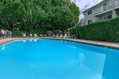 A swimming pool surrounded by trees and chairs.