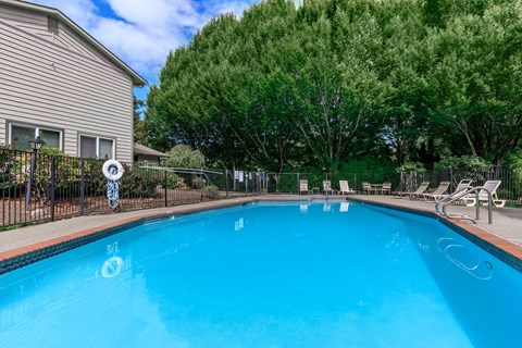 A swimming pool surrounded by trees and a house.