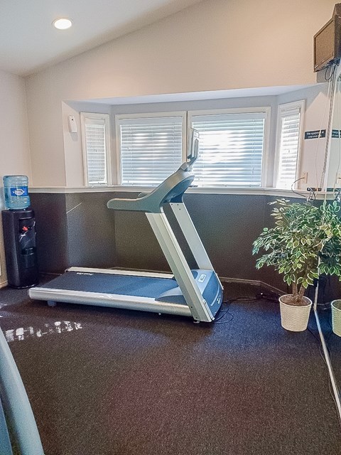 A treadmill is in a room with a plant and a water cooler.
