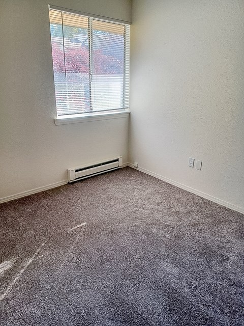 A room with a window and a carpeted floor.