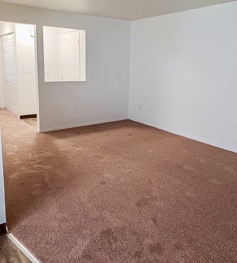 A room with white walls and a brown carpet.