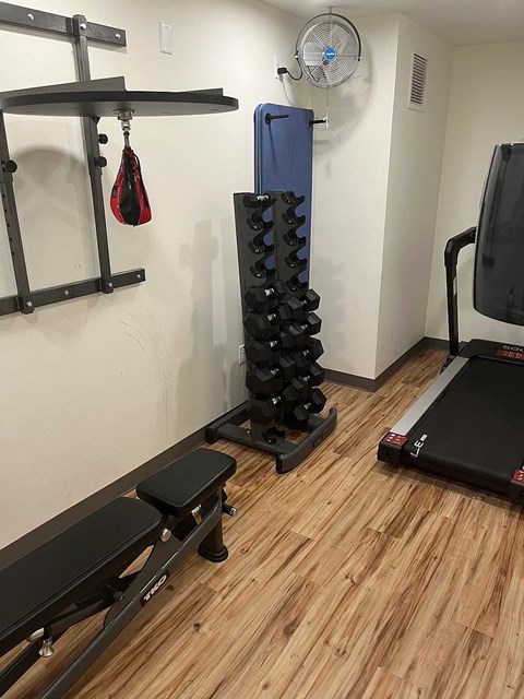 A gym room with a treadmill, bench, weights and a hanging leg curl.