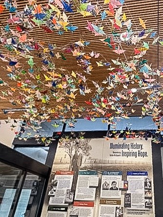 A display of colorful paper cranes hanging from a ceiling.