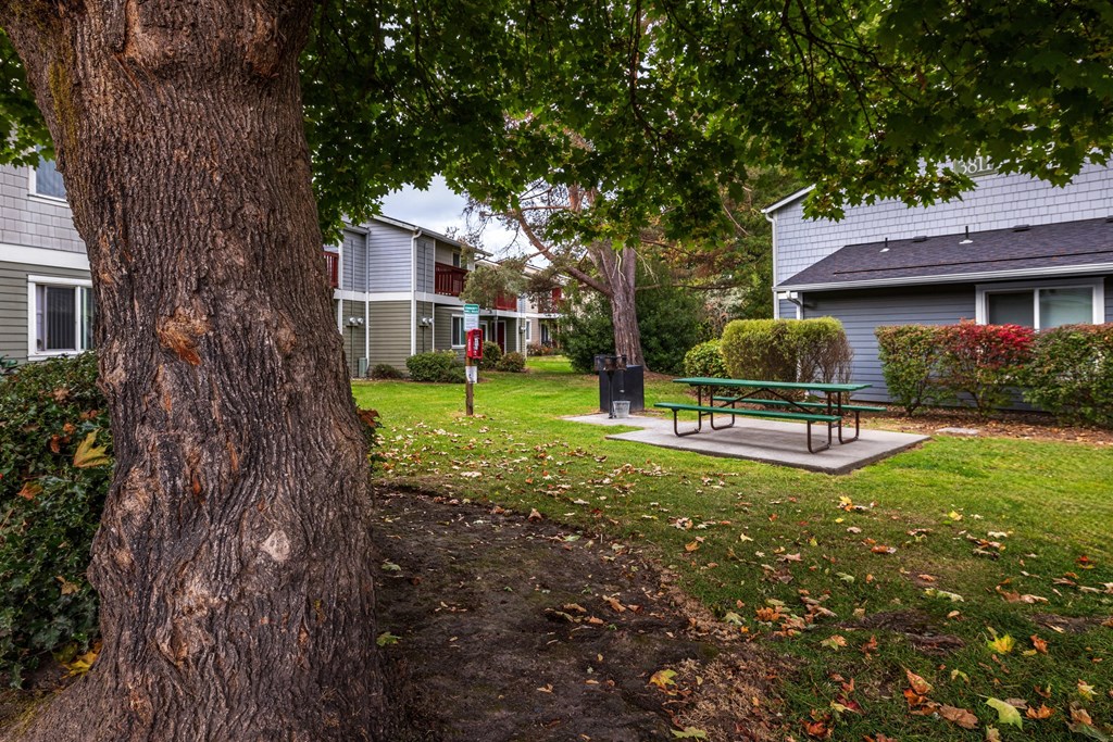 A tree trunk is on the left of the image.