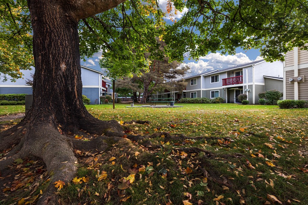 A tree with a thick trunk and a large root system sits in a grassy area with fallen leaves.