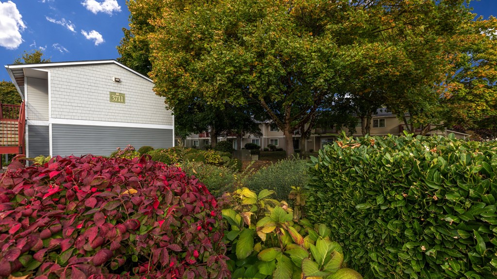 A small white building with a red door is surrounded by green bushes and red leaves.