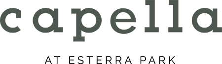 A sign with the text "capella" is displayed on a green background.