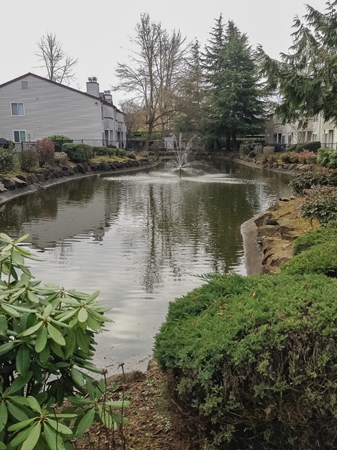 A pond with a fountain in the middle of it.