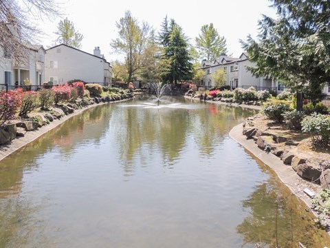 A serene pond in a residential area surrounded by houses and trees.