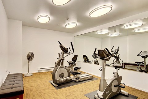 A gym with a mirror, a fan, and exercise equipment.