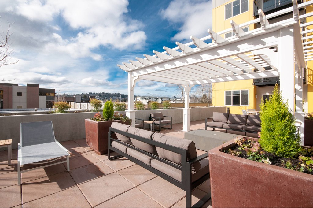 A patio with a white pergola and a bench.