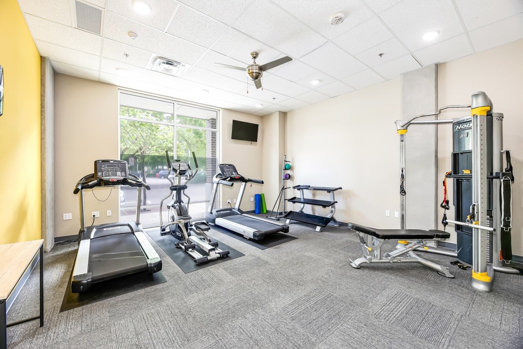 A gym with treadmills, elliptical machines, and other exercise equipment.