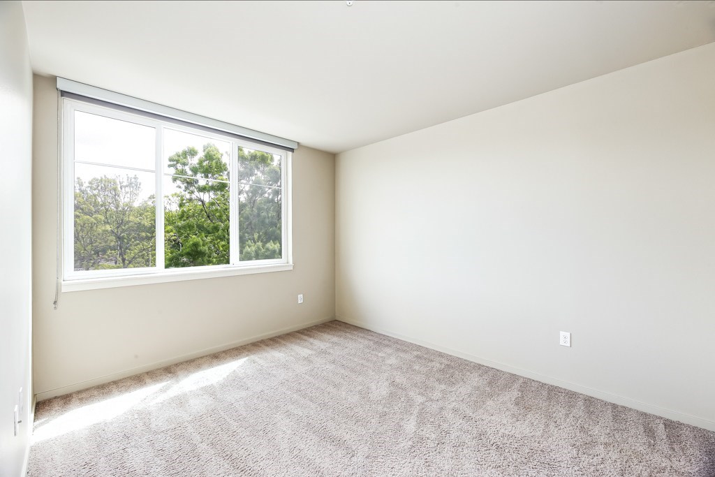 A room with a carpeted floor and a window overlooking trees.