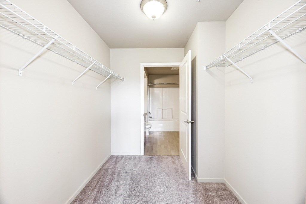 A hallway with white walls and a carpeted floor.