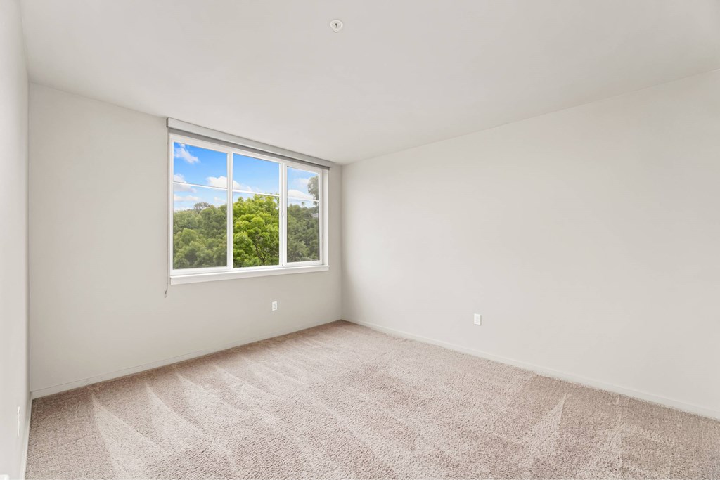 A room with a carpeted floor and a window showing a view of trees and sky.
