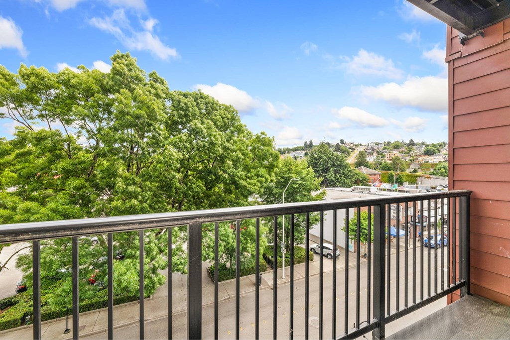 A balcony with a black railing overlooks a green tree and a street.