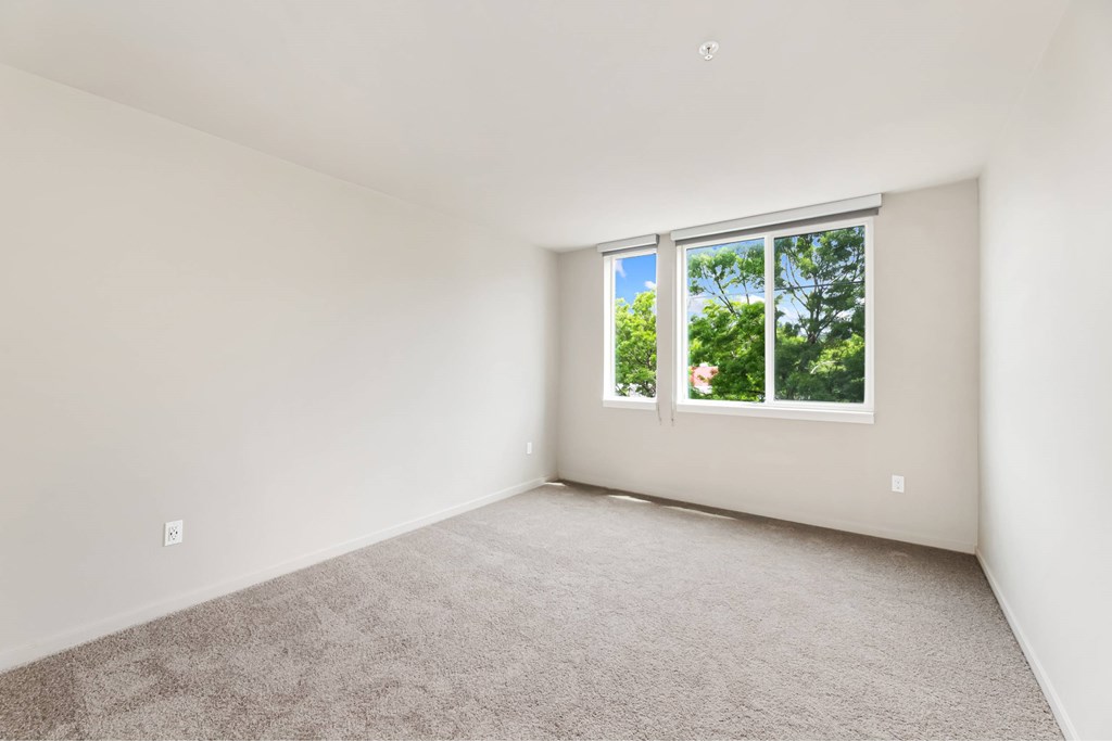 A room with a carpeted floor and a window.