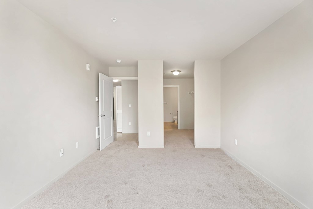 A white room with a carpeted floor and white walls.