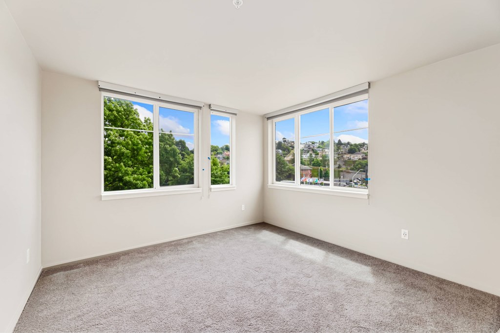 A room with two windows and carpeted floor.