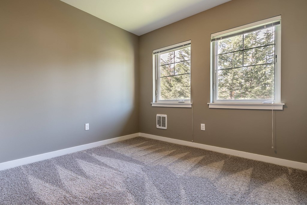 A room with two windows and carpeted floor.