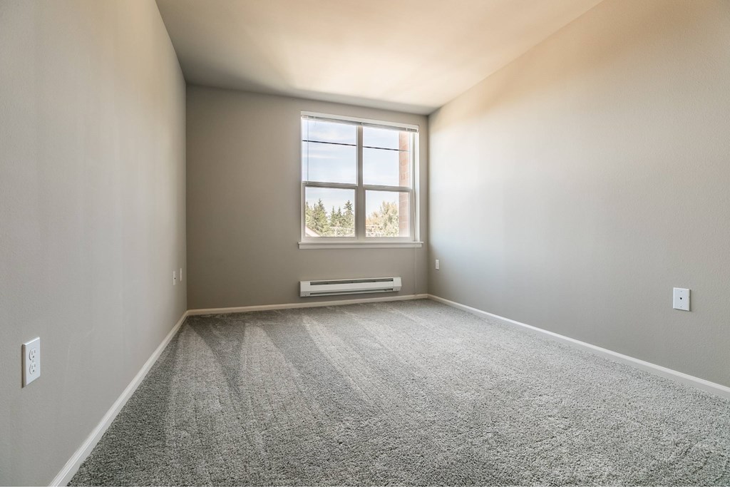 A room with a carpeted floor and a window.