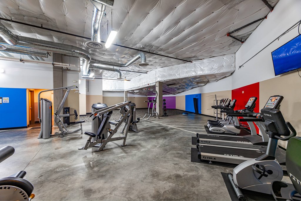 A gym with treadmills, exercise bikes, and other equipment.