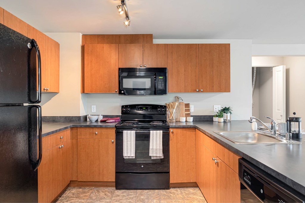 A kitchen with a black refrigerator and a black stove top oven.