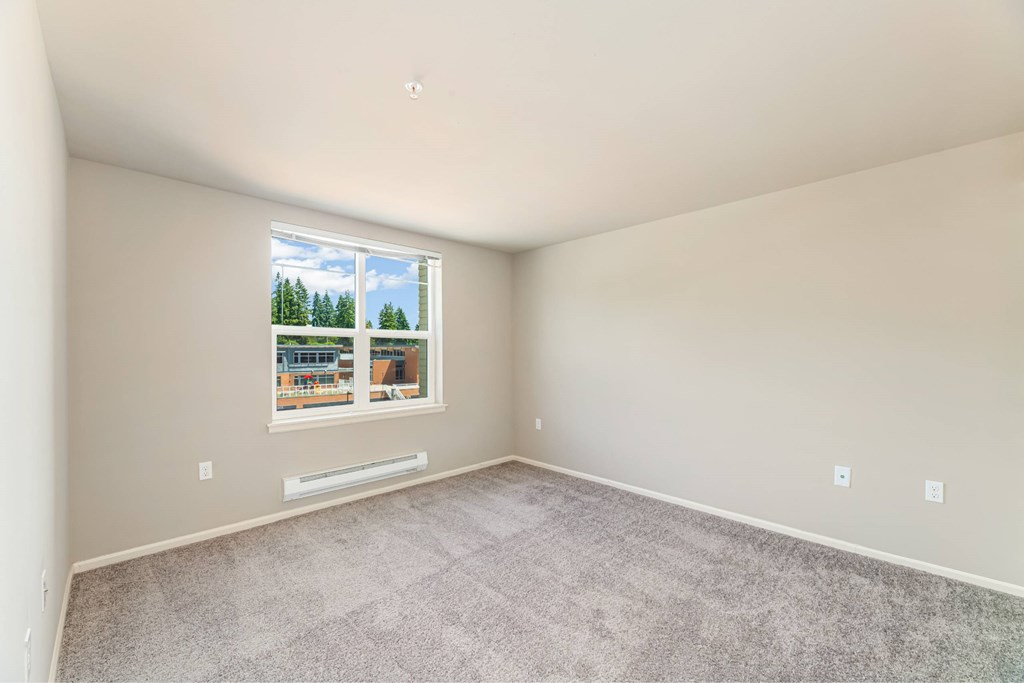 A room with a carpeted floor and a window showing a view of trees and a building outside.