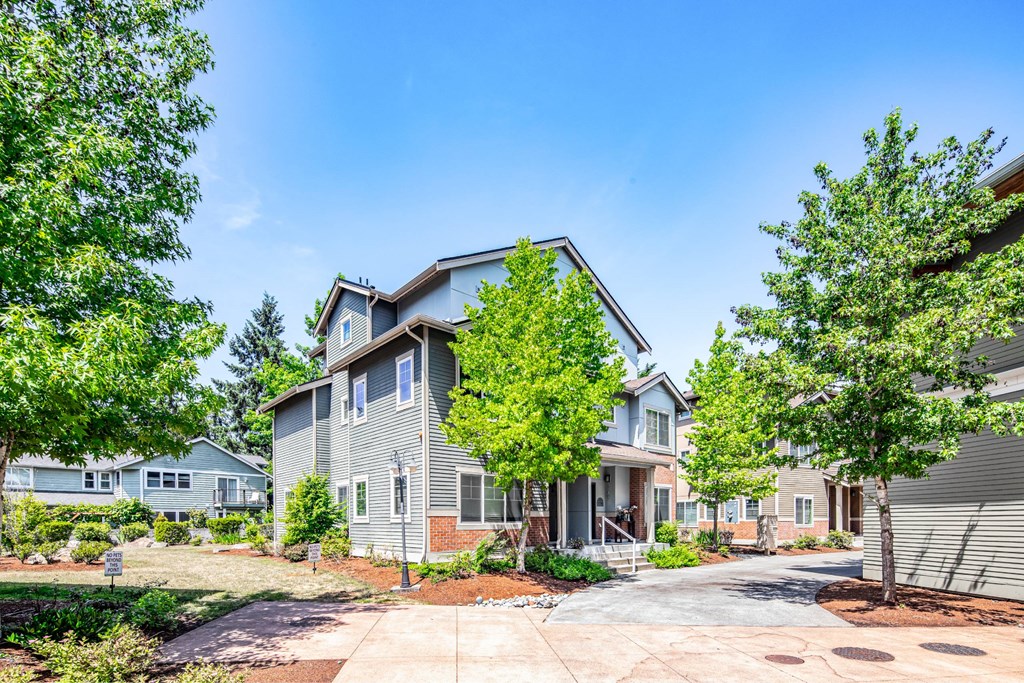 A house with a grey facade is surrounded by green trees.