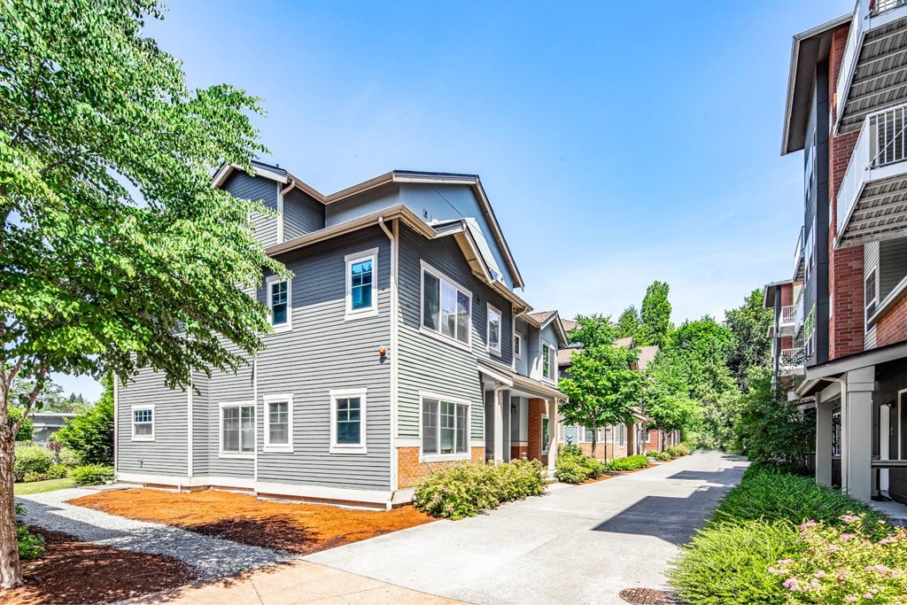 A residential area with a house and a driveway.