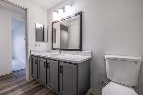 A bathroom with a white toilet and a vanity with a mirror above it.