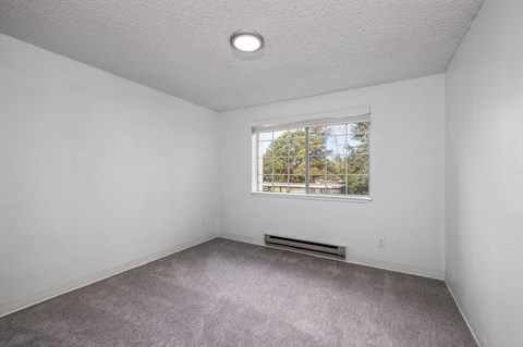 A room with a window and a carpeted floor.