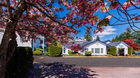 A house with a blue roof and white walls is surrounded by green bushes and trees with pink flowers.